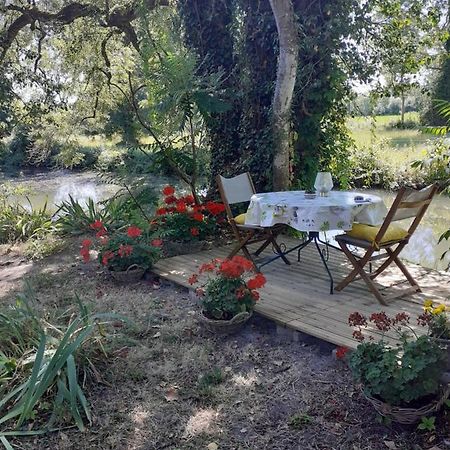 Gite " Jardin Peyrona" Visite Zoo Beauval Et Chateaux De Loire Beaulieu-lès-Loches Exterior foto